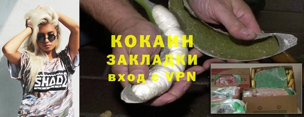 дмт Карпинск
