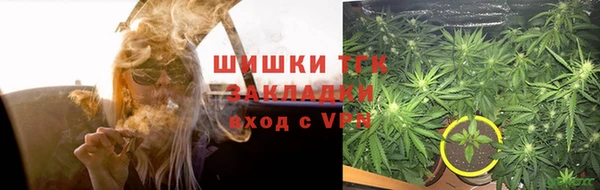 тгк Касимов