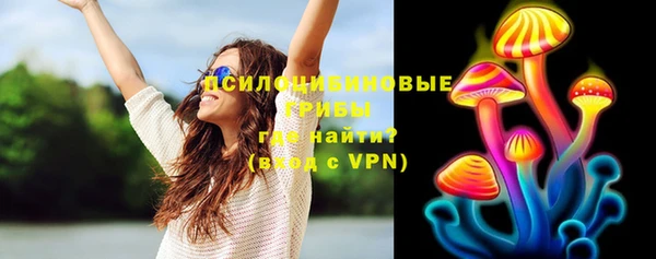 дмт Карпинск
