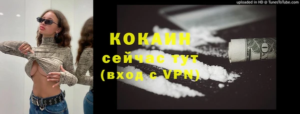 дмт Карпинск
