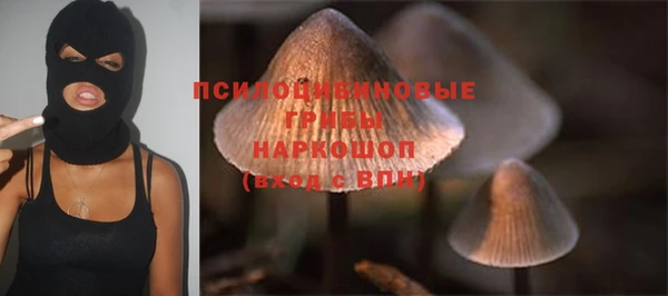 дмт Карпинск