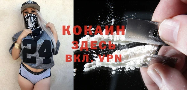 дмт Карпинск