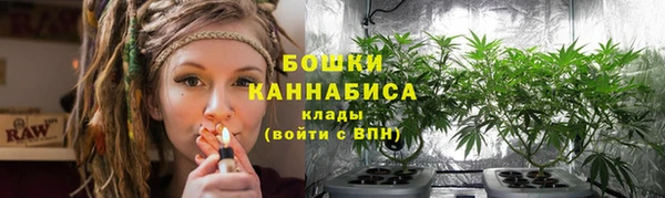 тгк Касимов