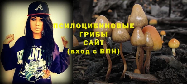 дмт Карпинск
